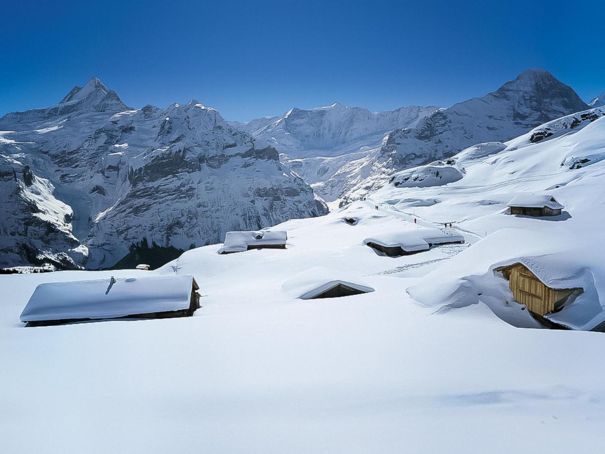 Apartment Chalet Almis-Boedeli-2 By Interhome Grindelwald Exteriér fotografie